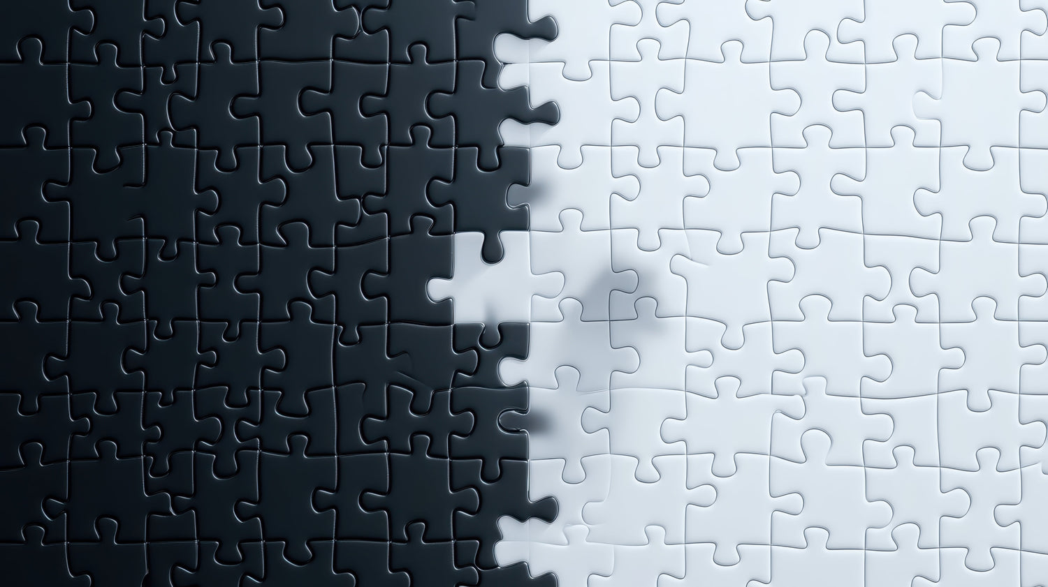 Black-And-White-Jigsaw-Puzzle